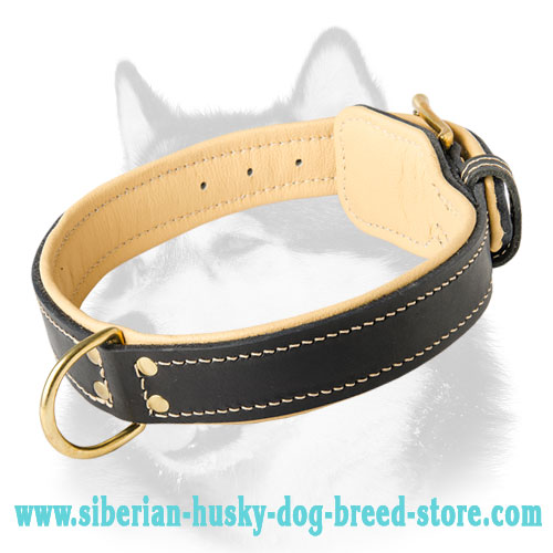 Handmade Siberian Husky Collar Royal Nappa Leather Padded