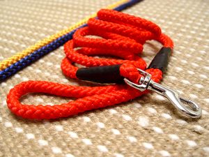 Round Cord Nylon Leash With Brass Snap for Siberian Husky
