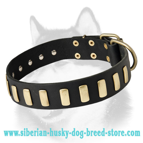 Marvelous Leather Dog Collar With Plates for Siberian Husky