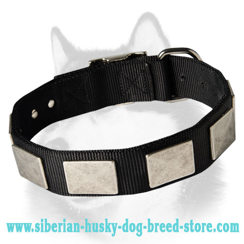Nylon Dog Collar With Large Viantage Plates for Siberian Husky, Akita, Malamute