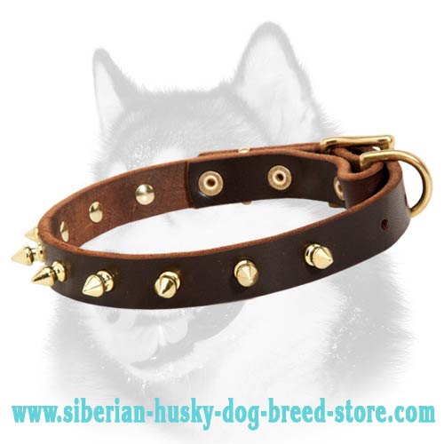 Gorgeous Leather Dog Collar with One Row Brass Plaed Spikes for Siberian Husky
