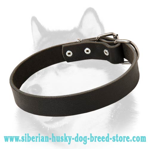 Narrow Smooth Leather Dog Collar for Siberian Husky