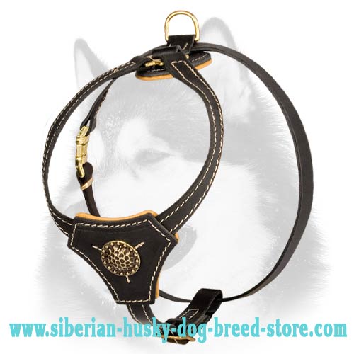 Everyday Leather Dog Harness for Siberian Husky Puppy