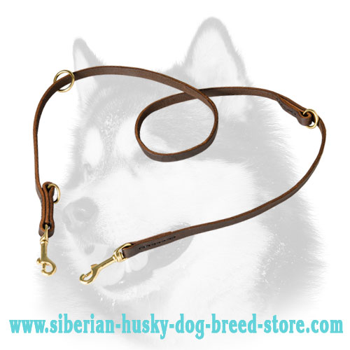 Siberian Husky Leather Leash for Training, Walking and Tracking