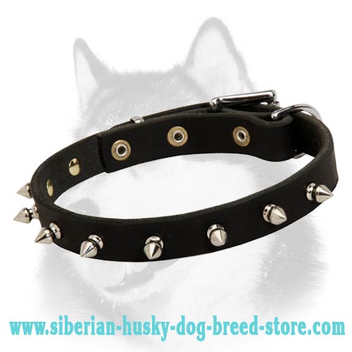 High Quality Stylish Leather Dog Collar for Siberian Husky