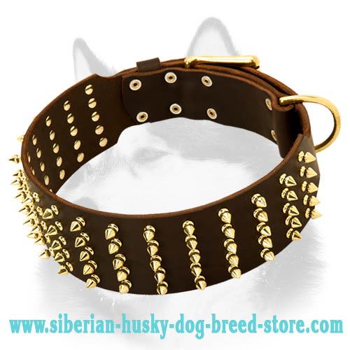 Excellent Wide Leather Dog Collar for Siberian Husky