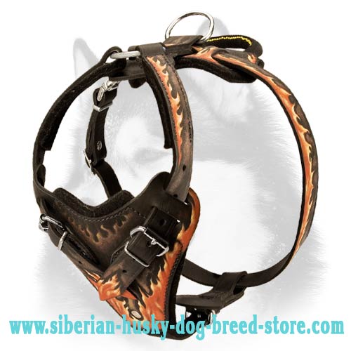 Adjustable Leather Harness for Siberian Husky with Unique Painting - Click Image to Close