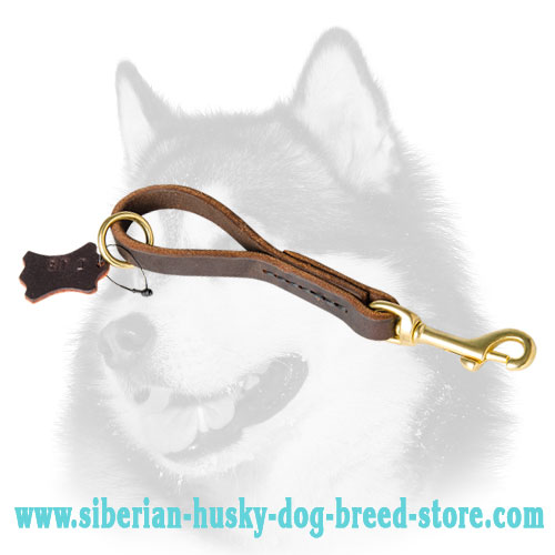Leather Snap Tab 10 inch LEASH for Siberian Husky