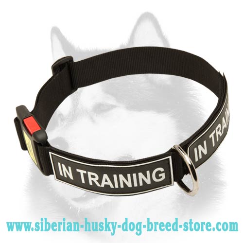 All Weather Nylon Collar with Patches