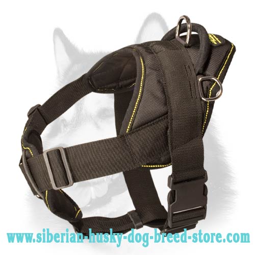 Lightweight Pulling Nylon Harness for Siberian Husky