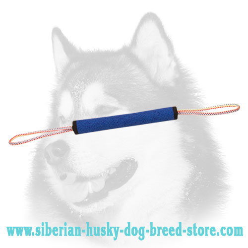 Puppy Training Pocket Toy with Handle for young Siberian Husky - Click Image to Close