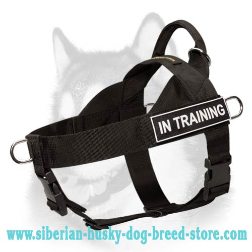 Search & Rescue Nylon Harness for Siberian Husky - Click Image to Close