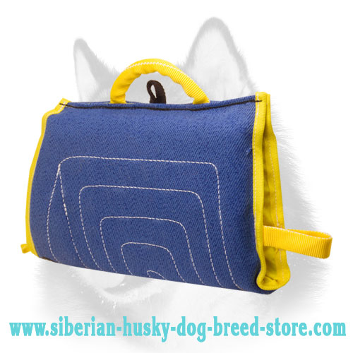 Siberian Husky Puppy Sleeve for Bite Training