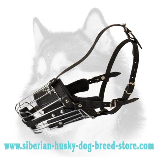 Leather Padded Metal Cage Muzzle for Siberian Husky