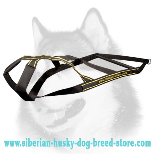 Siberian Husky Weight Pulling Sport Harness