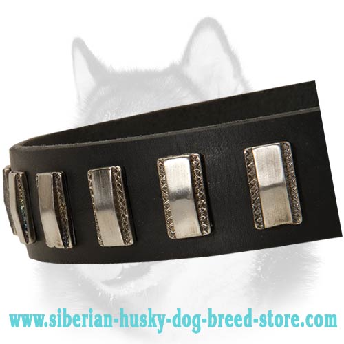 Awesome Leather Dog Collar with Plates for Siberian Husky