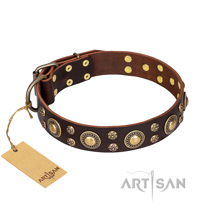 'Flower Melody' FDT Artisan Brown Leather Siberian Husky Collar with Mixed Studs