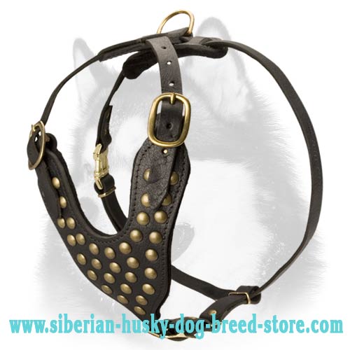 Siberian Husky Studded Walking Handmade Harness