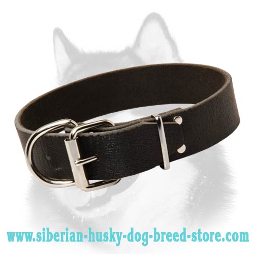 Smooth Leather Collar for Siberian Husky