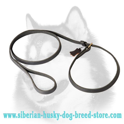 Leather Slip Dog Lead for Siberian Husky