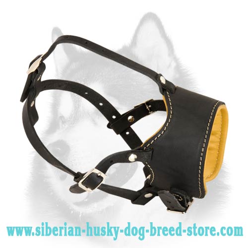 Stop Dog Barking Muzzle with Special Design for Siberian Husky