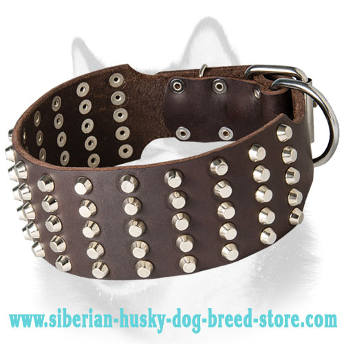 3 Inch Studded Latigo Leather Dog Collar for Siberian Husky
