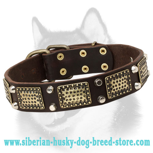 Stylish Leather Dog Collar for Siberian Husky with Awesome Adornment