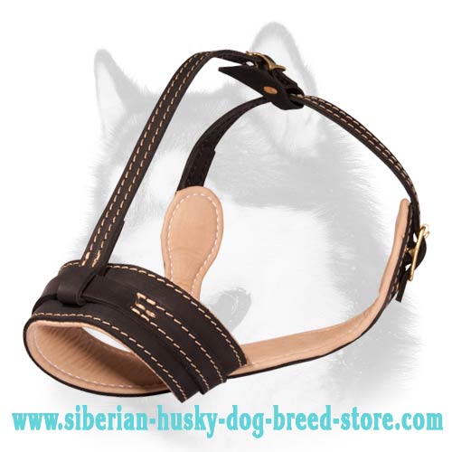Well Ventilated Nappa Padded Leather Muzzle for your Siberian Husky