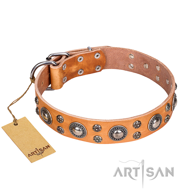 'Extra Sparkle' FDT Artisan Handcrafted Siberian Husky Tan Leather Dog Collar