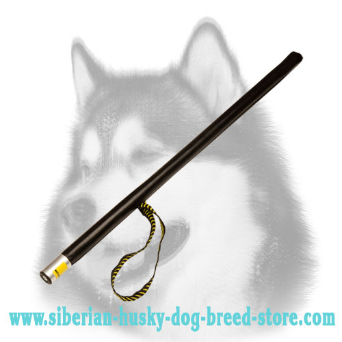 Training Siberian Husky Stick for Schutzhund - Click Image to Close