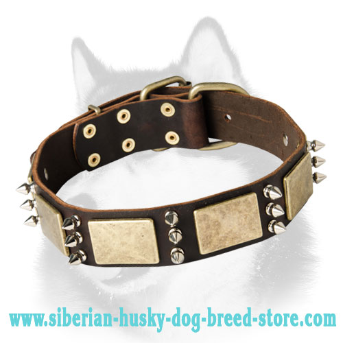 Vintage Siberian Husky Dog Collar with Spikes and Plates Adornment