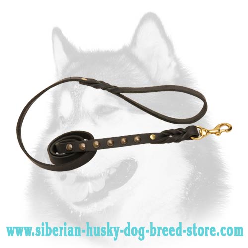 Perfect Walking/Training Leather Dog Leash for Siberian Husky