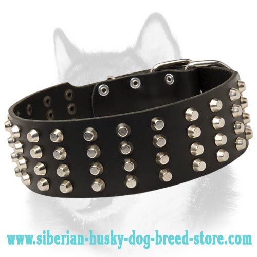 2 inch Wide Studded Leather Siberian Husky Collar
