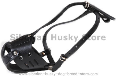 Siberian Husky Leather Muzzle for Everyday Activities
