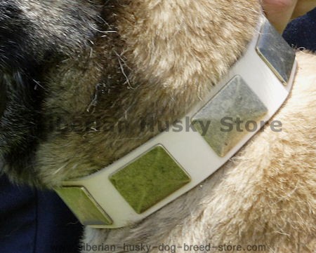Siberian Husky Handcrafted Leather Collar with Vintage Massive Plates