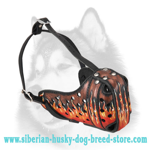 Super strong dog muzzle