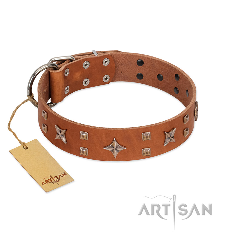 "Dreamy Gleam" FDT Artisan Tan Leather Siberian Husky Collar Adorned with Stars and Squares