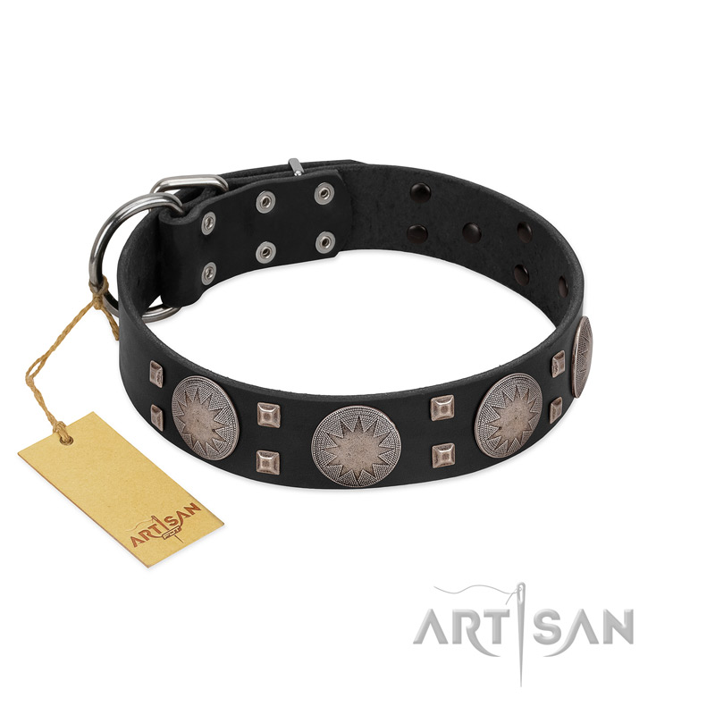 "Sun in Shining" Modern FDT Artisan Black Leather Siberian Husky Collar with Studs and Stars