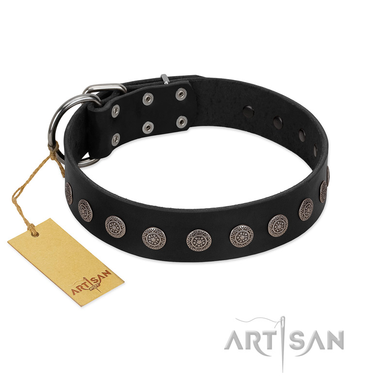 "Silent Star" Handmade FDT Artisan Designer Black Leather Siberian Husky Collar with Engraved Plates