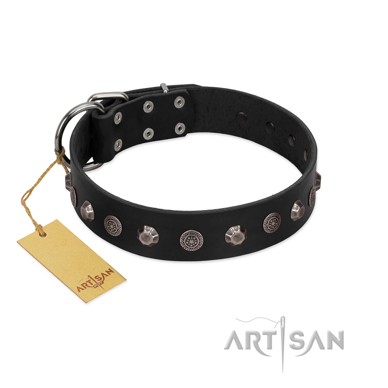"Black Knight" Handmade FDT Artisan Black Leather Siberian Husky Collar with Silver-Like Studs