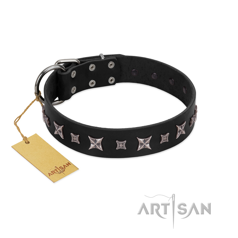 "Polar Lights" Designer FDT Artisan Black Leather Siberian Husky Collar with Silver-Like Studs
