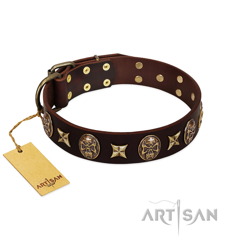 "Captain Hook" FDT Artisan Brown Leather Siberian Husky Collar with Stars and Skulls