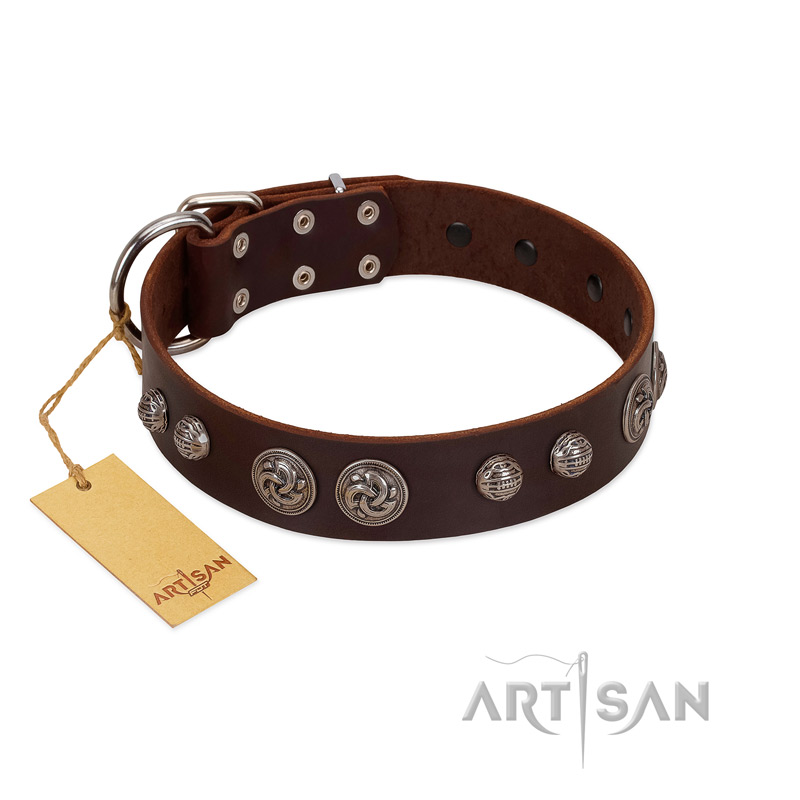"Choco Brownie" FDT Artisan Brown Leather Siberian Husky Collar Adorned with Silver-Like Conchos