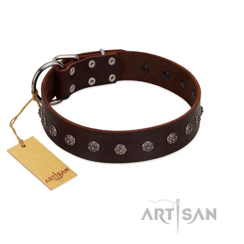 "Graceful Classic" Mod FDT Artisan Brown Leather Siberian Husky Collar