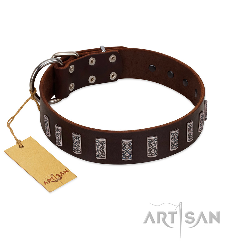 "Brown Lace" Handmade FDT Artisan Brown Leather Siberian Husky Collar for Everyday Walks