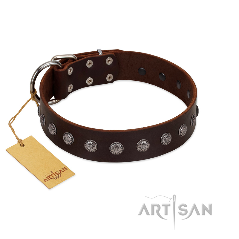 "Spring Flower" Stylish FDT Artisan Brown Leather Siberian Husky Collar for Comfy Walks