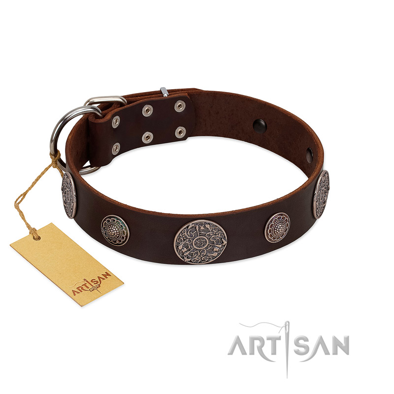 "Flashy Woof" FDT Artisan Brown Leather Siberian Husky Collar with Chrome Plated Brooches