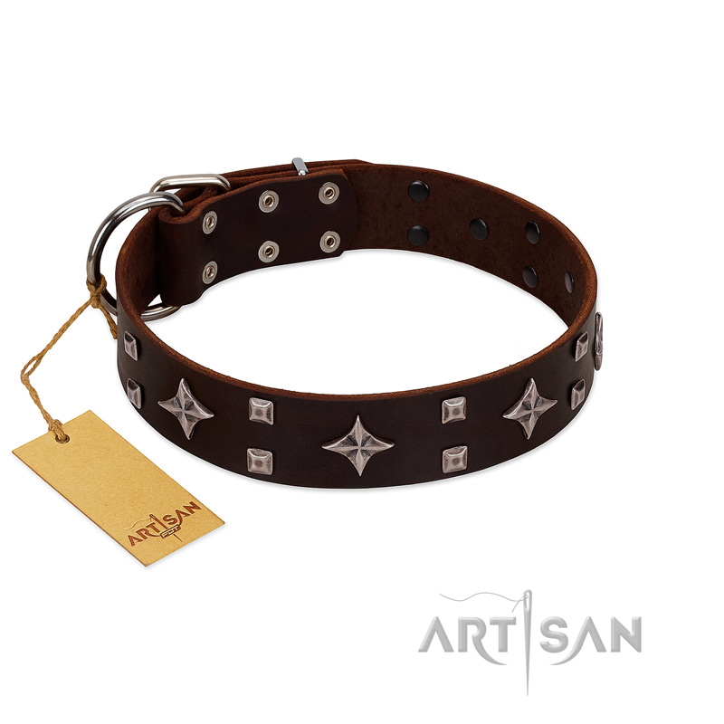 "Trendy Candy" FDT Artisan Brown Leather Siberian Husky Collar Adorned with Stars and Tiny Squares
