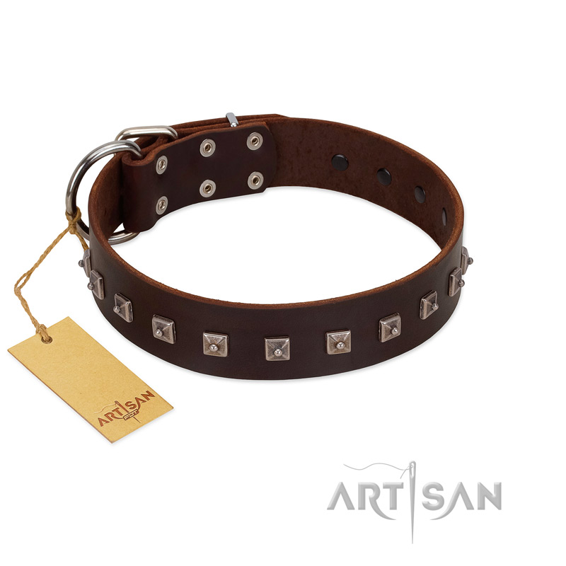 "Kingly Grace" FDT Artisan Brown Leather Siberian Husky Collar with Silver-like Dotted Studs