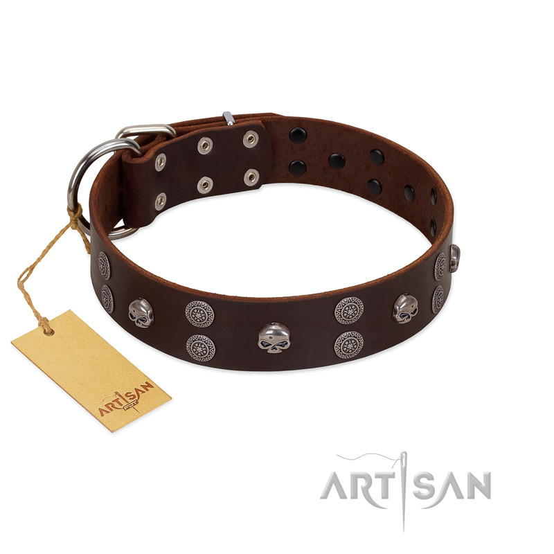 "Skull Valley" Handcrafted FDT Artisan Brown Leather Siberian Husky Collar with Skulls